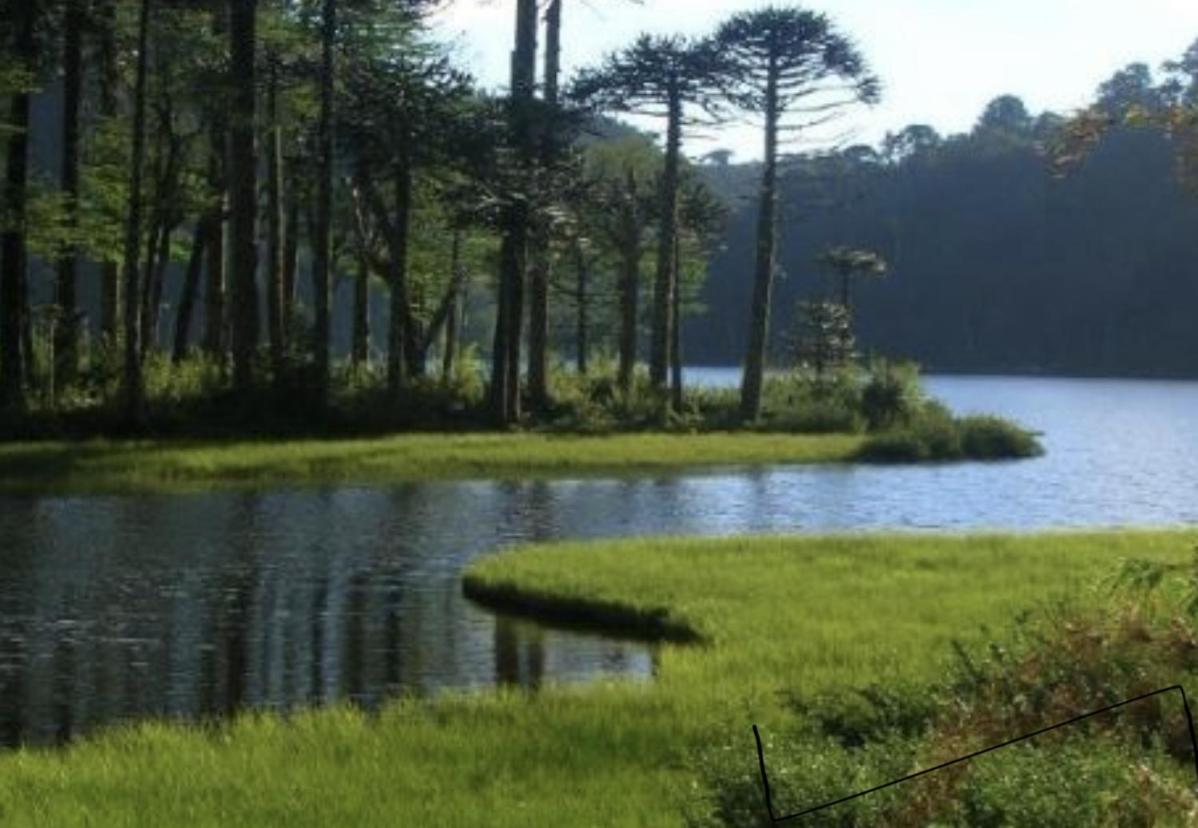 Pucon Magia y Encanto del Sur Exterior foto